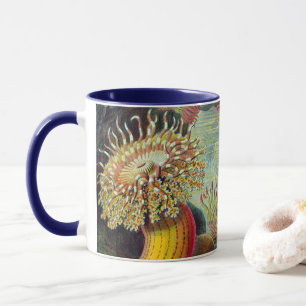 Seeanemonen, Vintage Actiniae von Ernst Haeckel Tasse