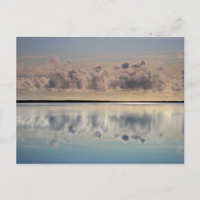 Seebarbe Postkarte (Vorderseite)