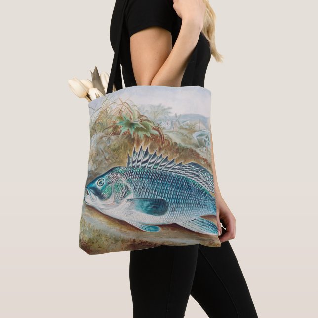 Seebarsch von S.A. Kilbourne, Vintage Fisch (Von Nahem)
