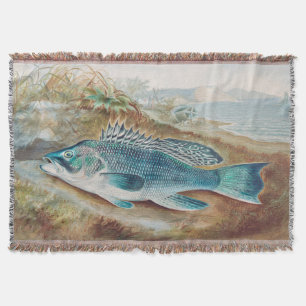 Seebarsch von S.A. Kilbourne, Vintage Fisch Decke