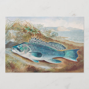 Seebarsch von S.A. Kilbourne, Vintage Fisch Einladung