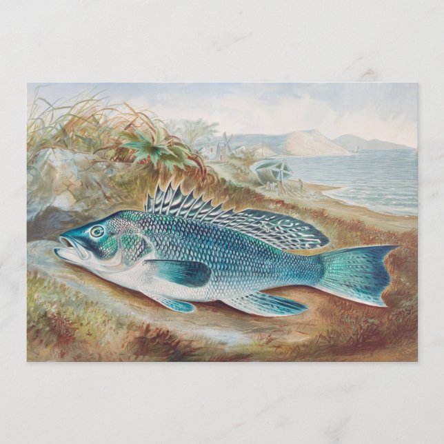 Seebarsch von S.A. Kilbourne, Vintage Fisch Einladung (Vorderseite)