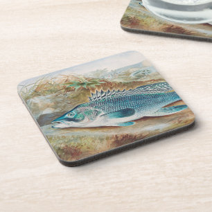 Seebarsch von S.A. Kilbourne, Vintage Fisch Getränkeuntersetzer