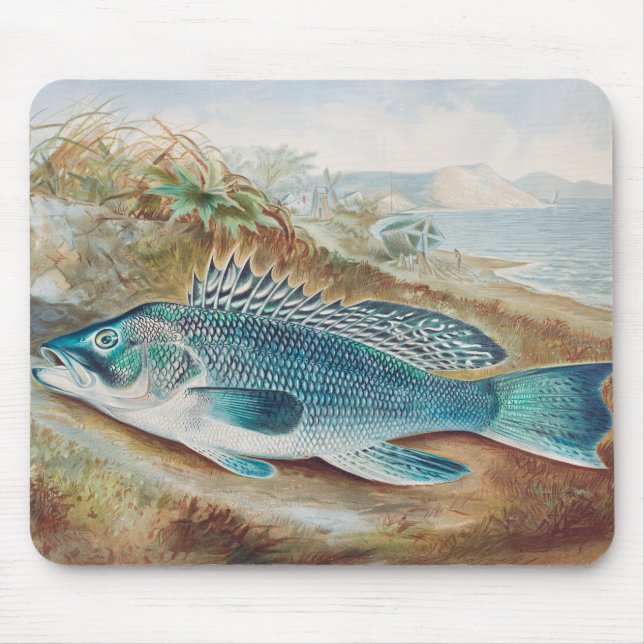 Seebarsch von S.A. Kilbourne, Vintage Fisch Mousepad (Vorne)