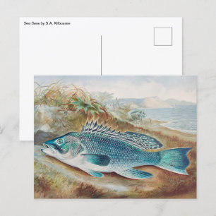 Seebarsch von S.A. Kilbourne, Vintage Fisch Postkarte