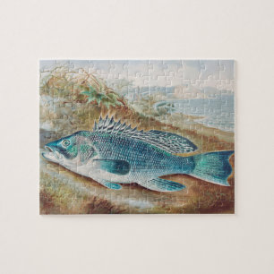 Seebarsch von S.A. Kilbourne, Vintage Fisch Puzzle
