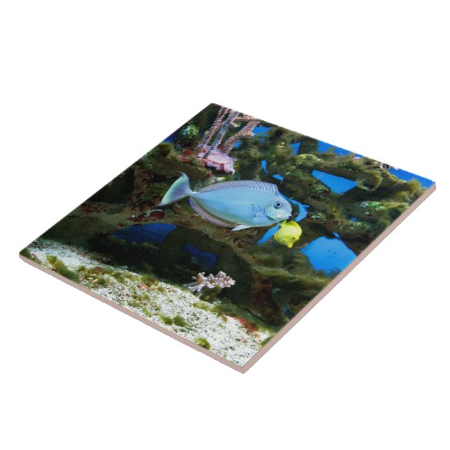 Seeblau-Fische Fliese (Seite)
