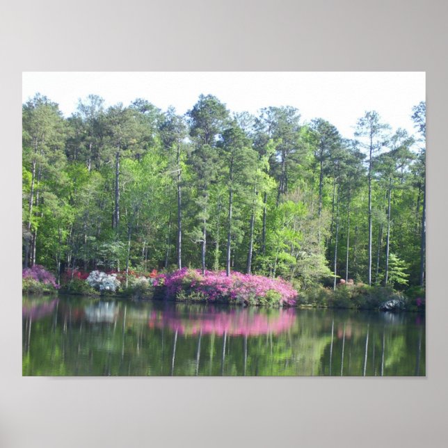 Seeblick Poster (Vorne)