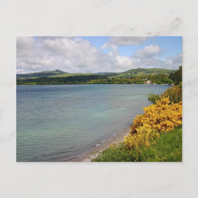 Seeblick Postkarte (Vorderseite)