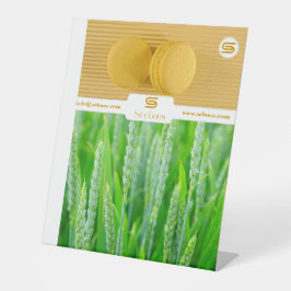 SEEBOOS SOCKELSCHILD