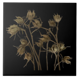 Seed Pods on a Ceramic Tile Fliese