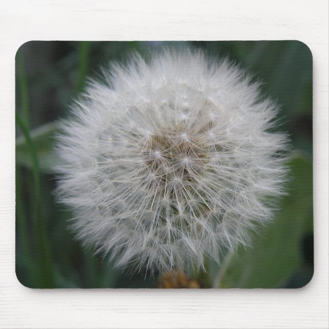 Seeding Dandelion Blume Mousepad (Vorne)