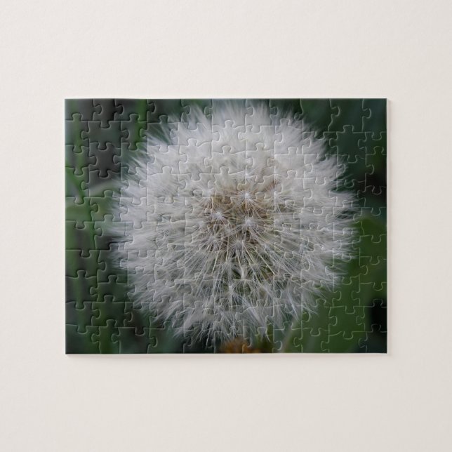 Seeding Dandelion Blume Puzzle (Horizontal)