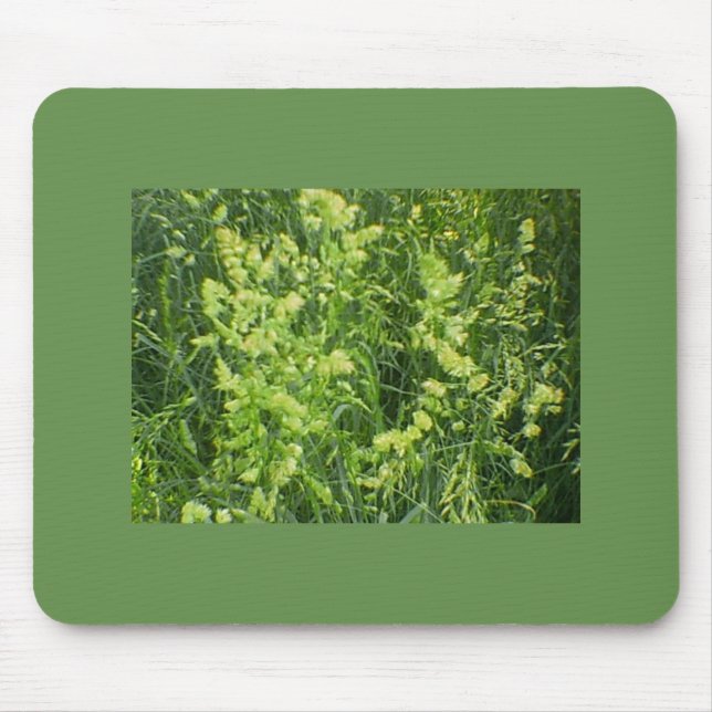 Seeding Mousepad (Vorne)