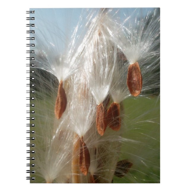 Seeds: Abstrakte Milkweets Notizblock (Vorderseite)
