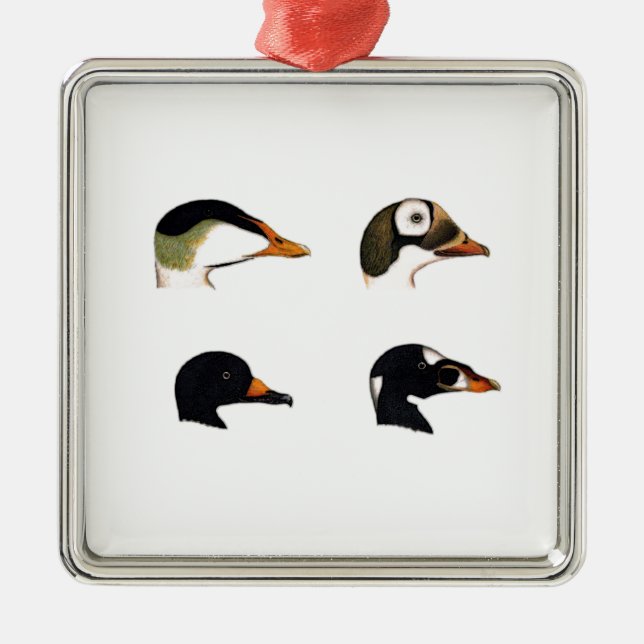 Seeenten-Logo Silbernes Ornament (Vorne)