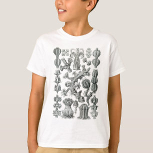 Seefächer T-Shirt