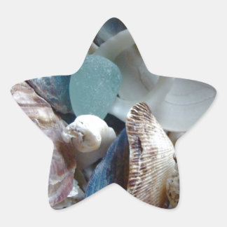 Seeglas-Muschel gesammelt Stern-Aufkleber