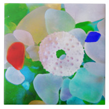 Seeglas-und Seeigel-Muschel