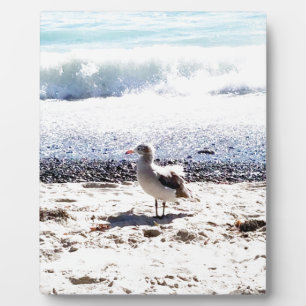 Seegras am Meer auf dem Bild vom Strand Fotoplatte