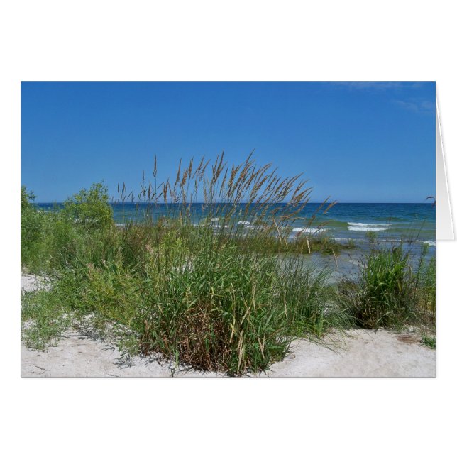 Seegras entlang der Küste (Vorderseite (Horizontal))