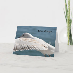 Seegraswünscht Karte