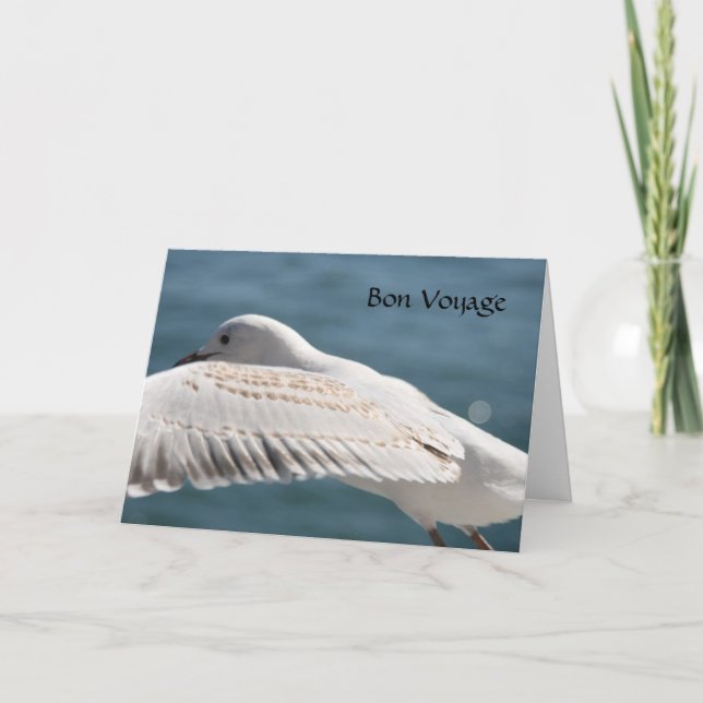 Seegraswünscht Karte (Vorderseite)