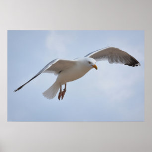 Seegröße Poster