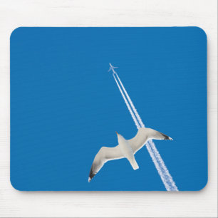 Seegrund und mousepad
