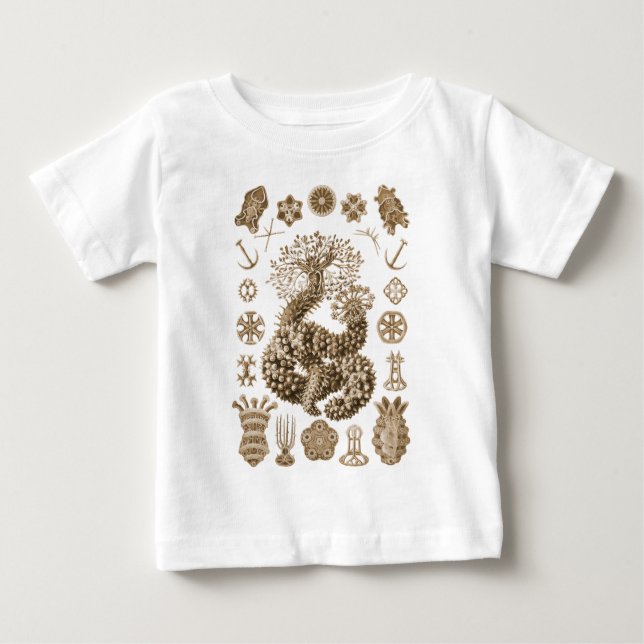 Seegurken Baby T-shirt (Vorderseite)