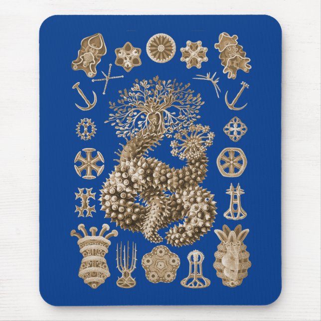 Seegurken Mousepad (Vorne)