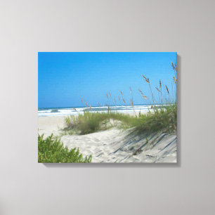 Seehafer bei Ocracoke Leinwanddruck