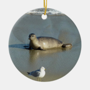 Seehund in La Jolla Kalifornien Keramikornament