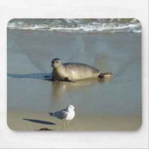 Seehund in La Jolla Kalifornien Mousepad