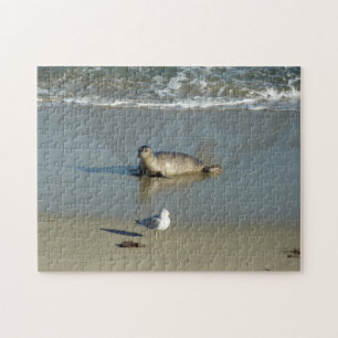 Seehund in La Jolla Kalifornien Puzzle
