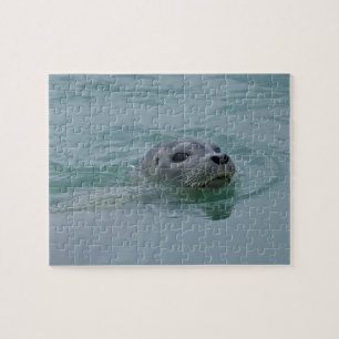 Seehund schwimmt im Gletschersee Jokulsarlon Puzzle