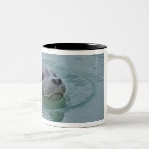 Seehund schwimmt im Gletschersee Jokulsarlon Zweifarbige Tasse