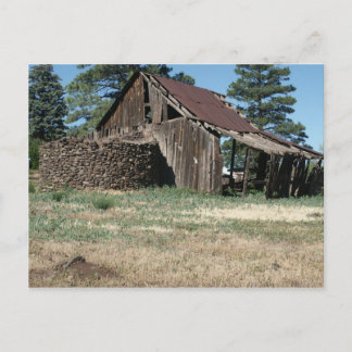 SeehundBarn Postkarte