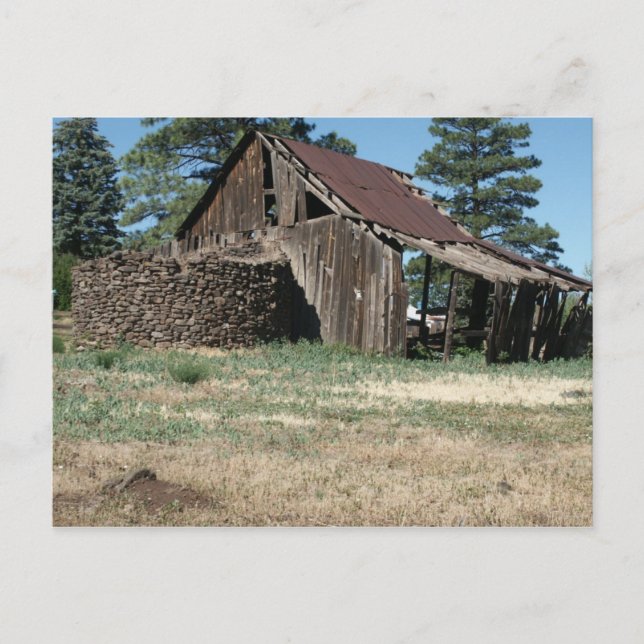 SeehundBarn Postkarte (Vorderseite)