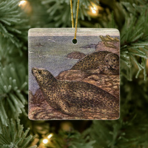 Seehunde, Alte Marine Lebewesen Ozean Tiere Keramikornament