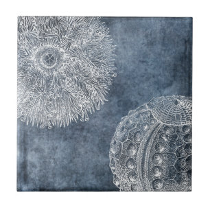 Seeigel-Aquarell Ozean Navyblau Weiß Fliese