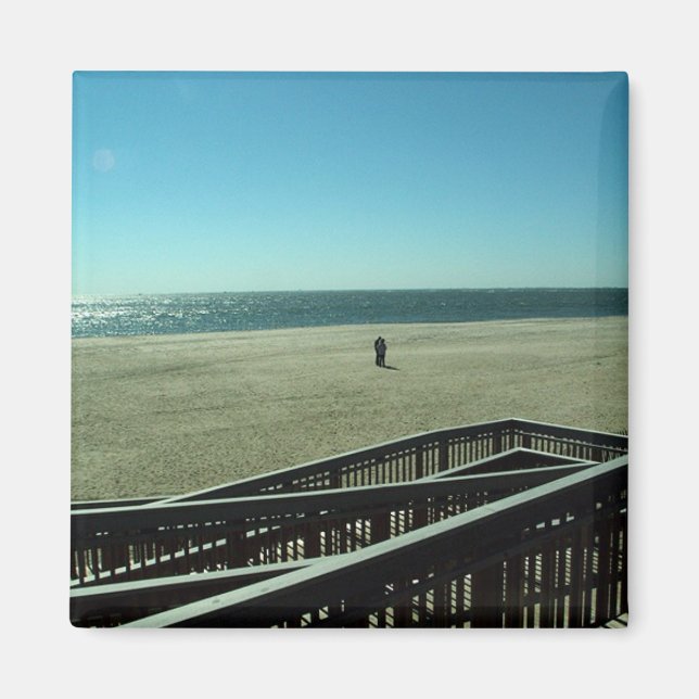 Seeigel Magnet (Vorne)