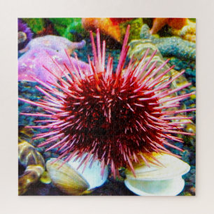 Seeigel Puzzle