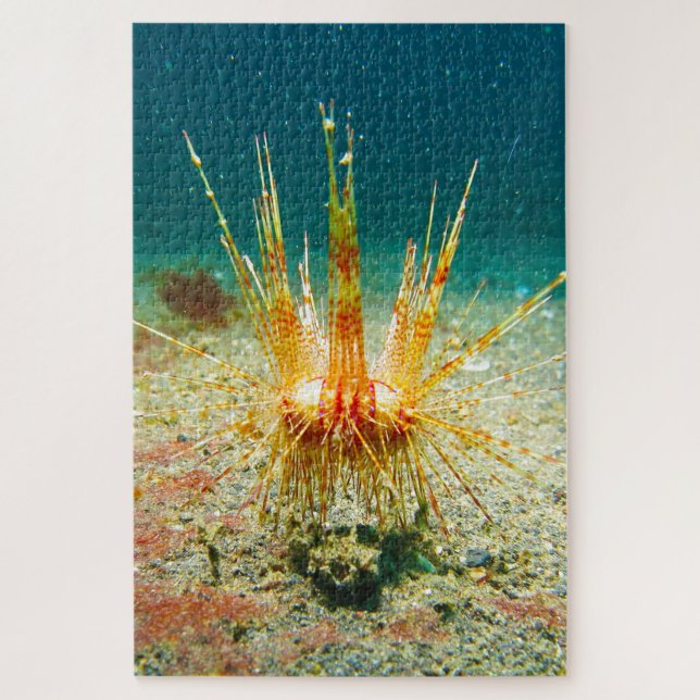 Seeigel Puzzle (Vertikal)