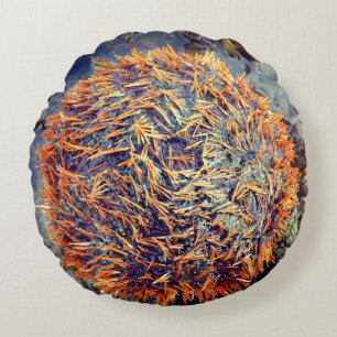 Seeigel Rundes Kissen