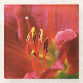 Seeing Red Glasuntersetzer