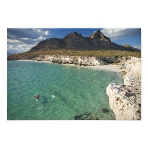 Seejakler im Golf von Kalifornien bei Isla Fotodruck
