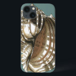 Seejuwel iPhone 13 Hülle<br><div class="desc">Eines der schönsten Juwelen des Ozeans ist dieses Bild. Diese große Muschelschelle des Conch befindet sich in diesem gerahmten Kunstwerk der Moderne: Dieses große Muschelbild des Conchs hat einen aquamarinen Hintergrund und eine  Muschel mit Sepia und Weiß. Entspannen Sie sich mit diesem großartigen Stück Naturkunst.</div>