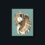Seejuwel Leinwanddruck<br><div class="desc">Eines der schönsten Juwelen des Ozeans ist dieses Bild. Diese große Muschelschelle des Conch befindet sich in diesem gerahmten Kunstwerk der Moderne: Dieses große Muschelbild des Conchs hat einen aquamarinen Hintergrund und eine  Muschel mit Sepia und Weiß. Entspannen Sie sich mit diesem großartigen Stück Naturkunst.</div>