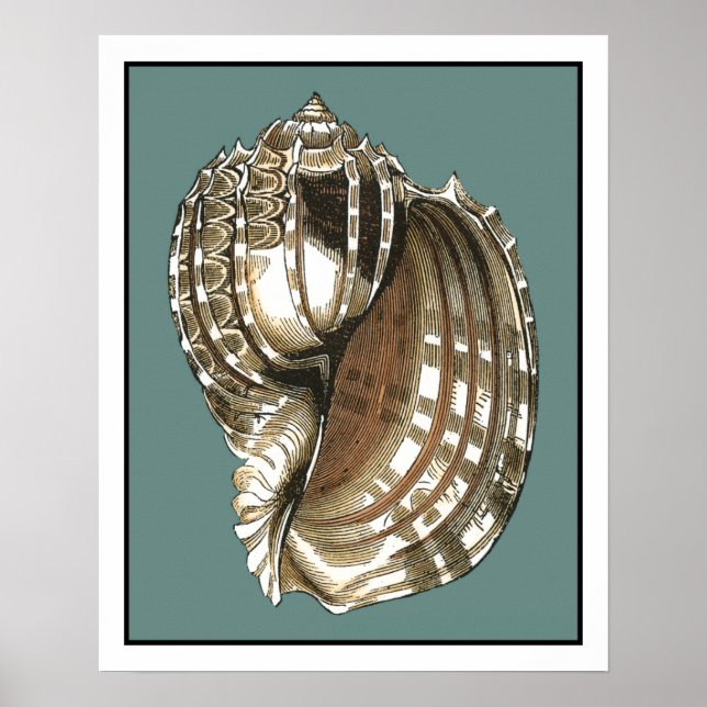 Seejuwel Poster (Vorne)